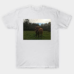 Scottish Highland Cattle Calf 2029 T-Shirt